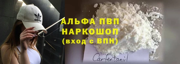 сатива Балахна