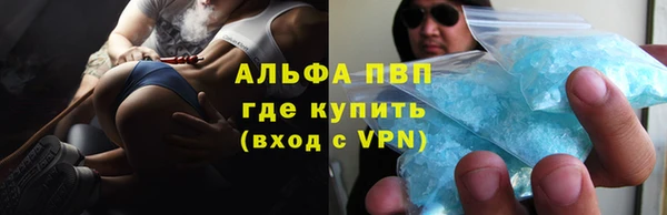 сатива Балахна