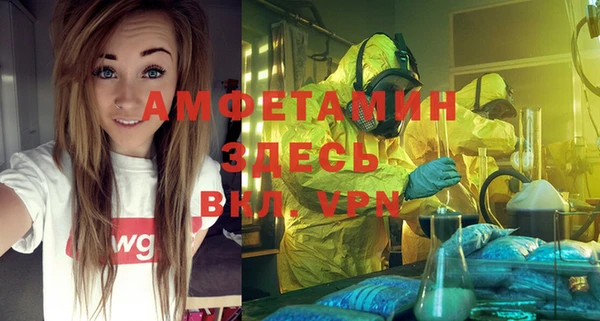 сатива Балахна