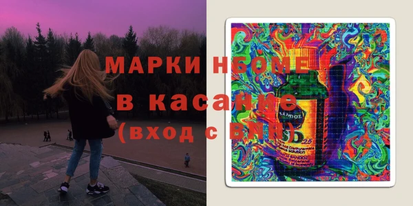 индика Армянск