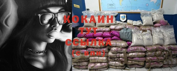 индика Армянск