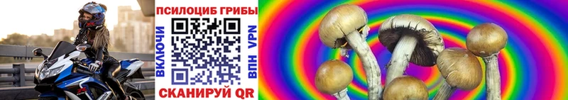 цена   Харовск  Псилоцибиновые грибы Psilocybine cubensis 